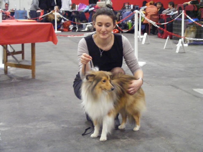 des Cheyennes du Petit Canyon - Résultat expo de Troyes