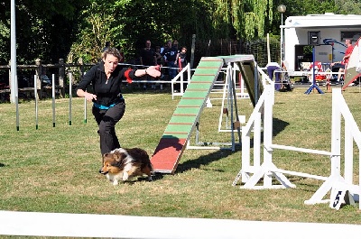 des Cheyennes du Petit Canyon - Championnats d'Agility