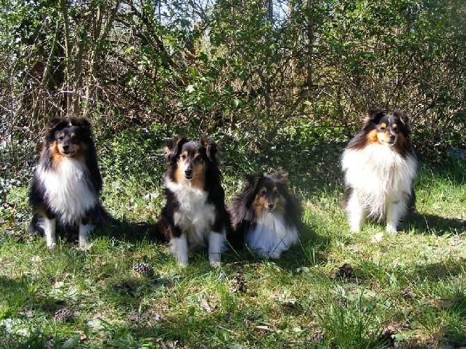 des Cheyennes du Petit Canyon - Portrait de famille