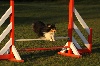  - Brevet d'agility