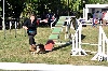  - Championnats d'Agility