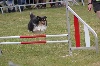  - Championnat de France Agility 